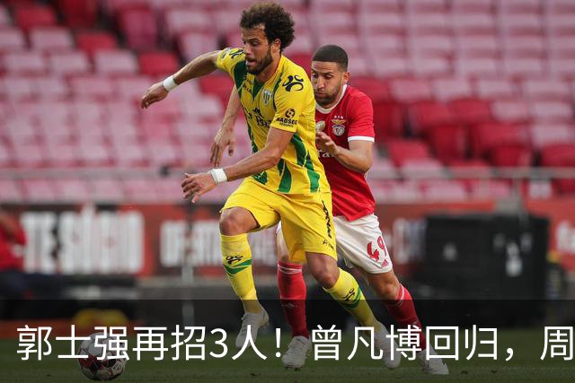 郭士强再招3人！曾凡博回归，周琦缺席，胡明轩徐杰双双被辞退